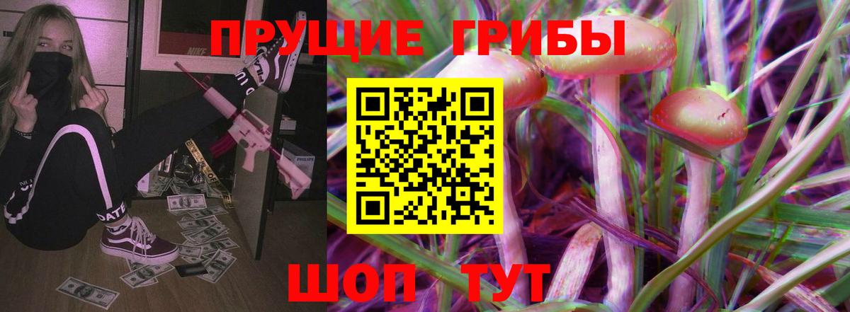 Галлюциногенные грибы Psilocybine cubensis Тельмана